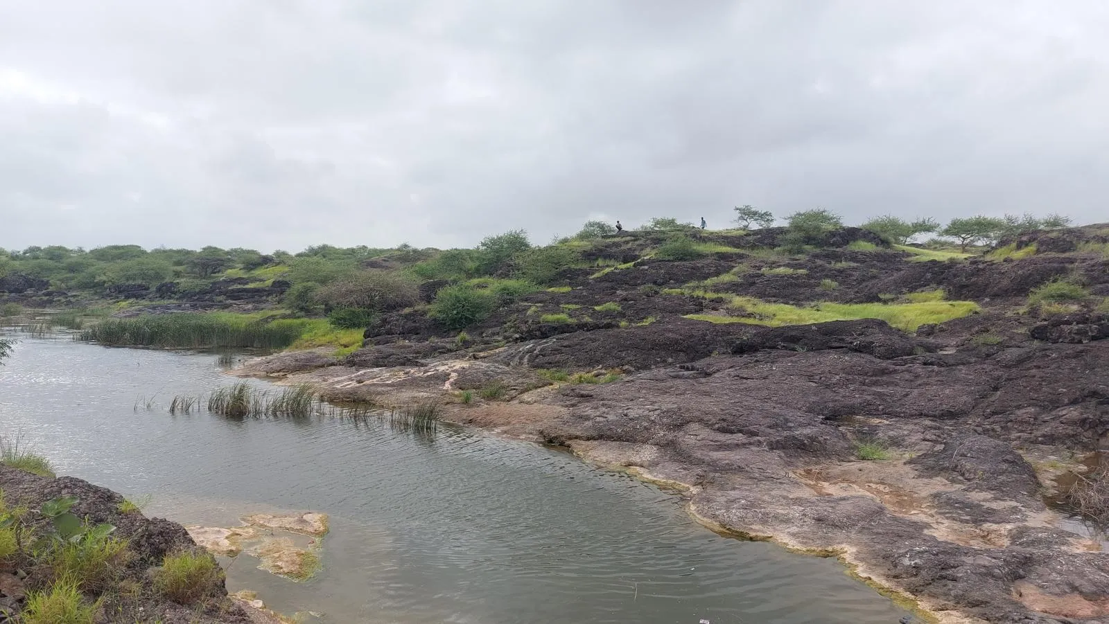 Natural view near White Rann in Kutch