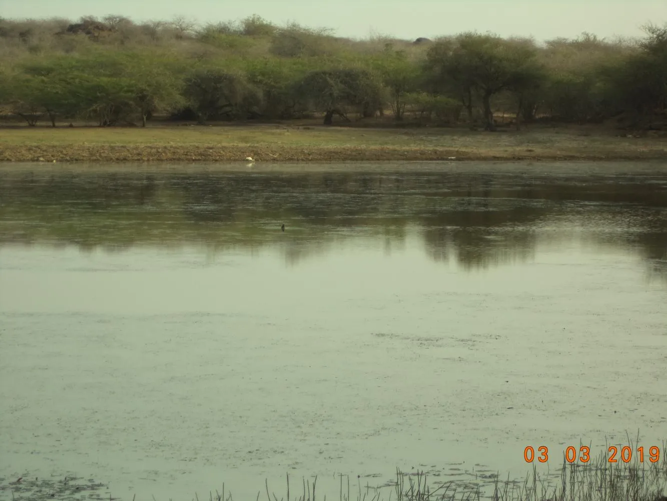 Kutch landscape gallery photo