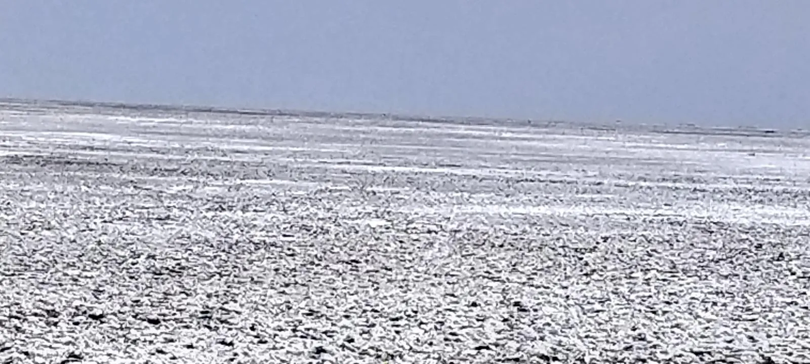 Kutch landscape gallery photo