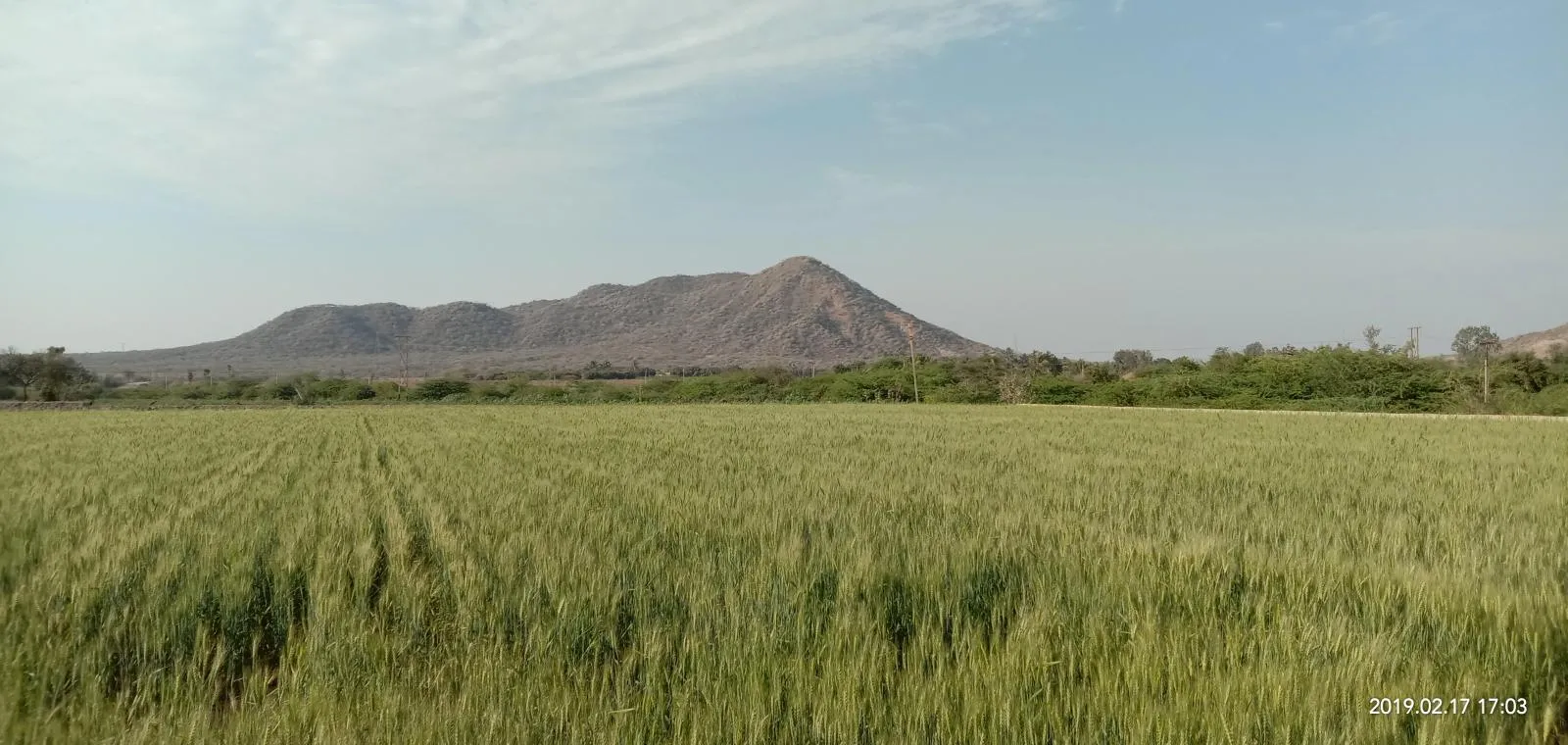 Kutch landscape gallery photo