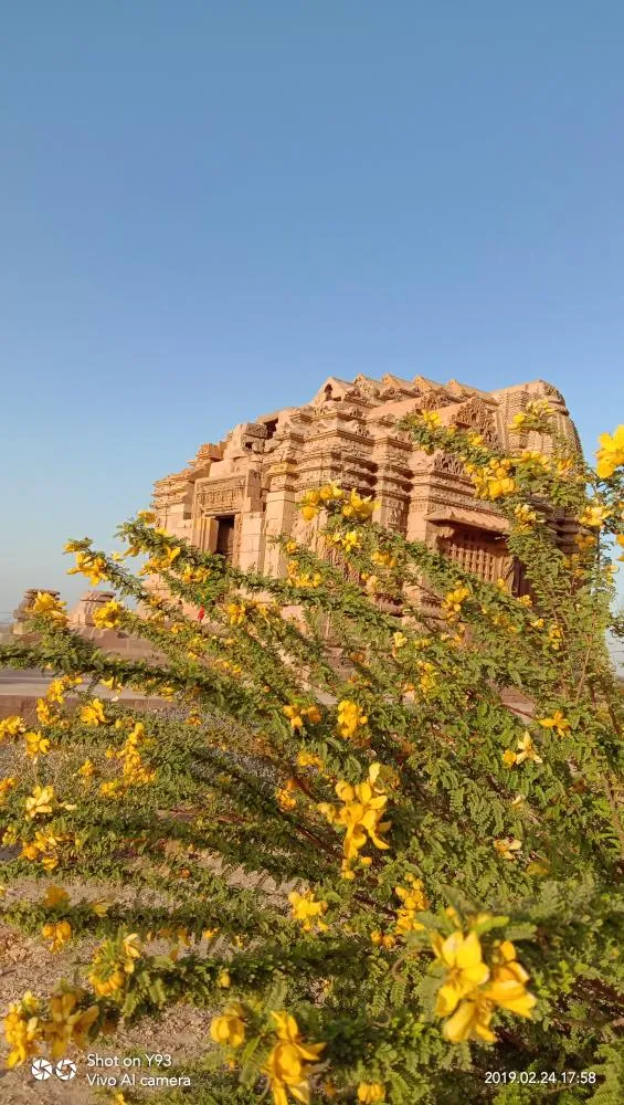 Kutch landscape gallery photo