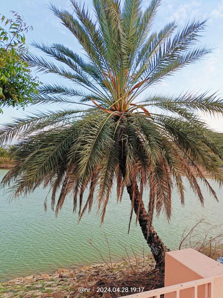 Kutch landscape gallery photo