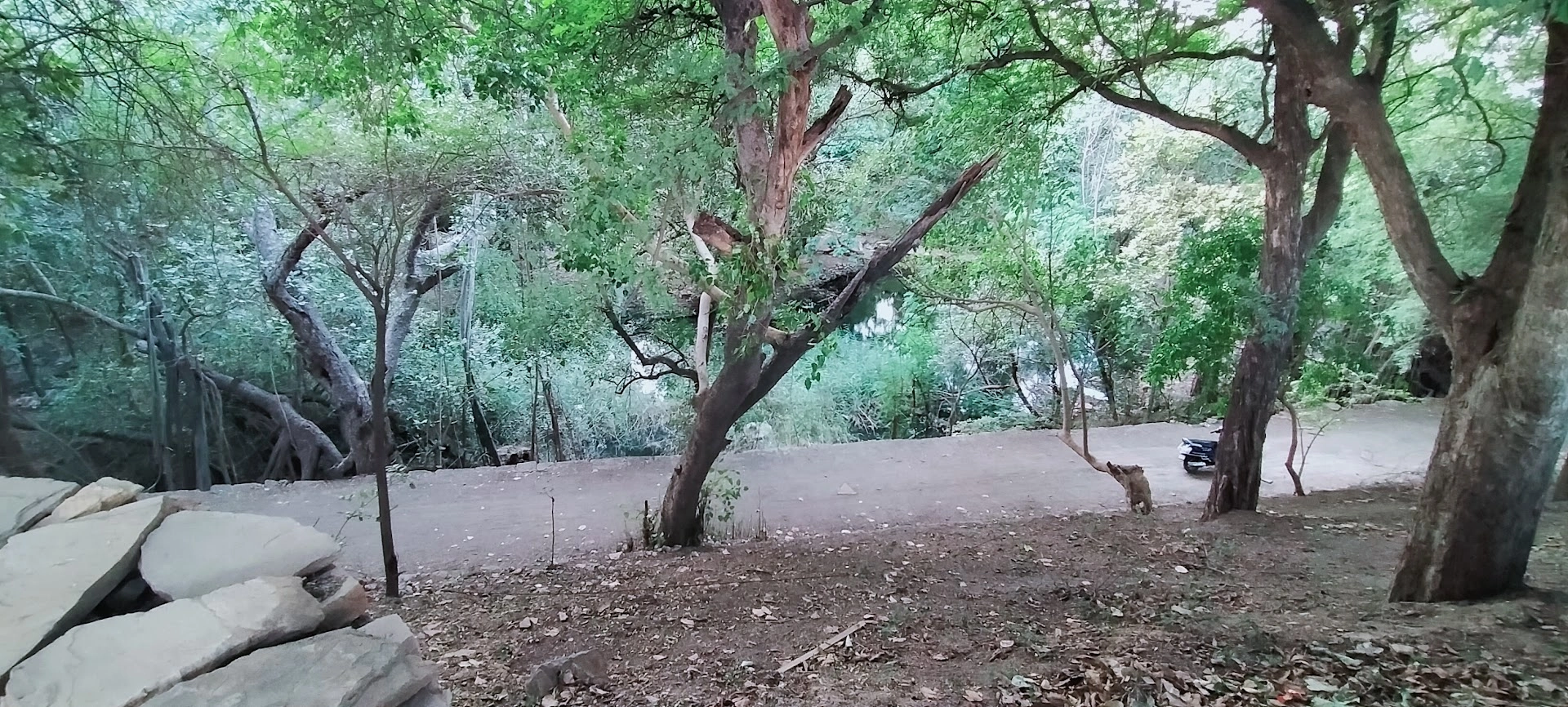 Chadva Rakhal hills in Kutch Gujarat