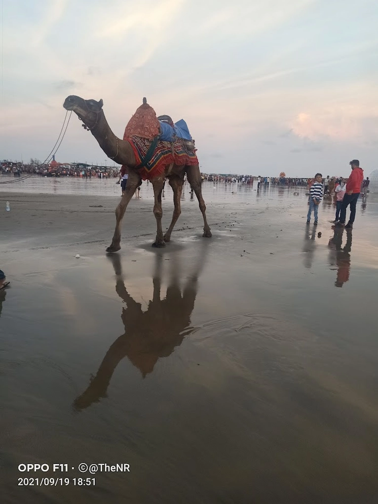 Mandvi beach in Kutch Gujarat