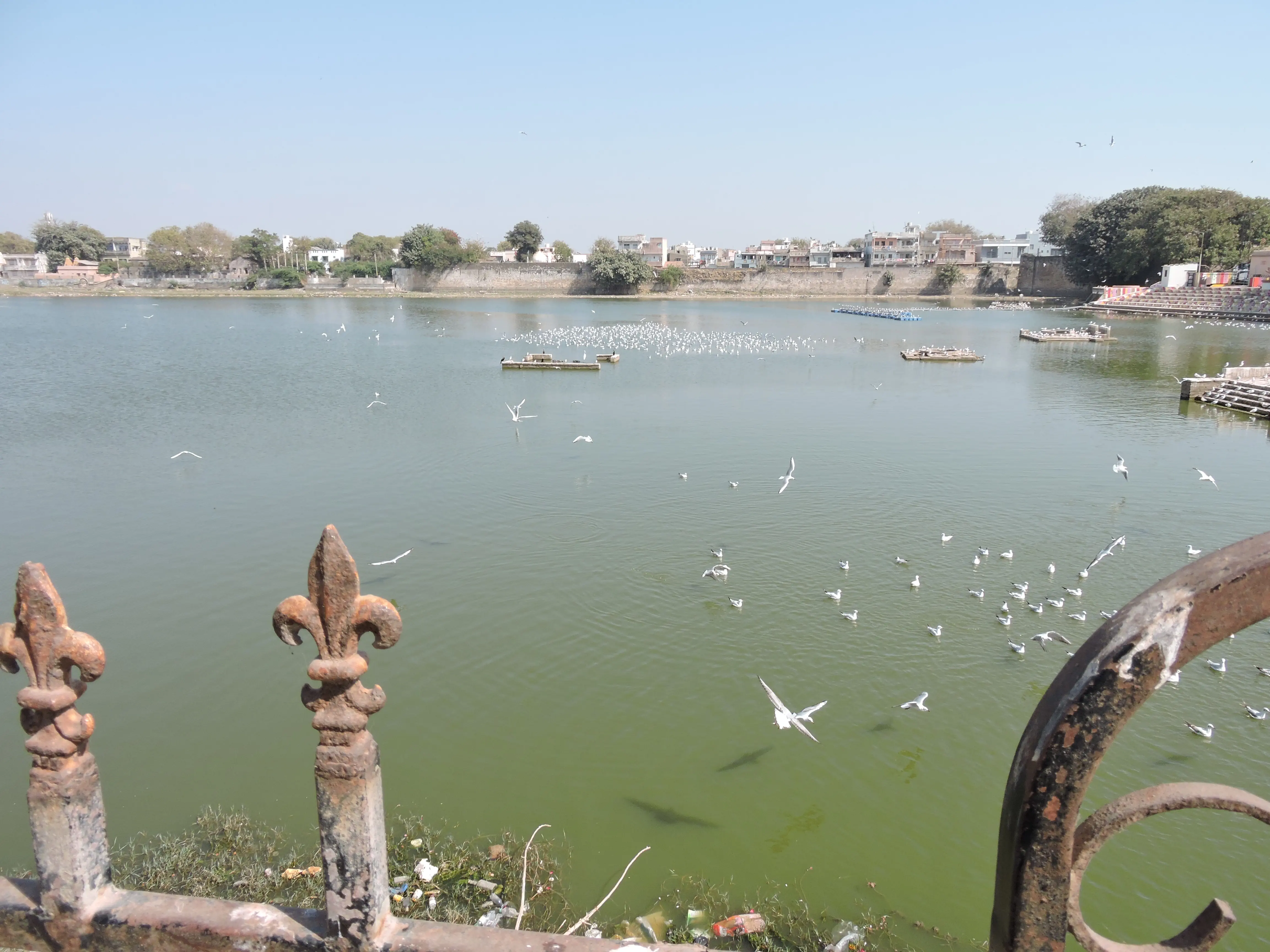 Kutch landscape gallery photo